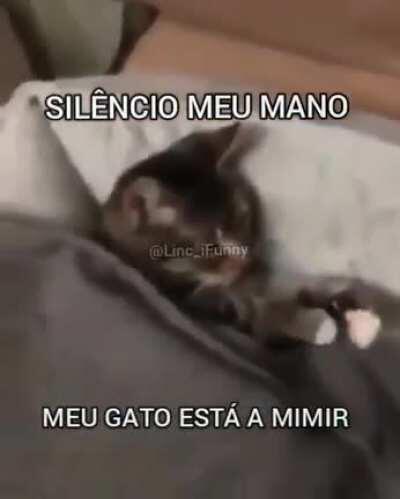 Alguém sabe o nome dessa música? Ela e incrível