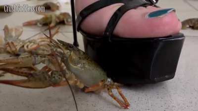 ELZA CRAWDAD CRUSH Elza-crd2