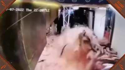 Remade that fish overload video and decided to make it better.