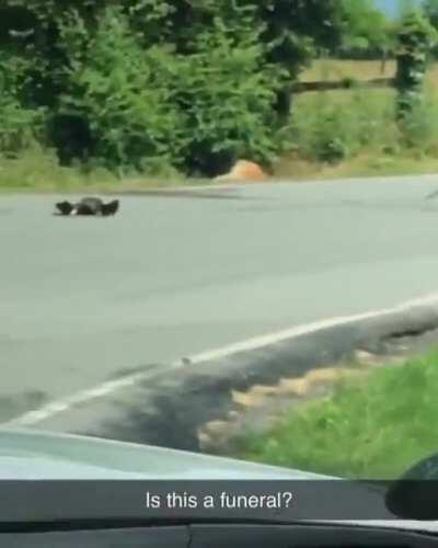 Havin a funeral for the poor sod