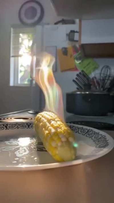 The cameraman caught a magical moment !