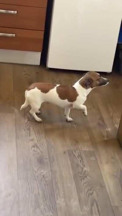 It's not me. U can't see me. Don't look at me.