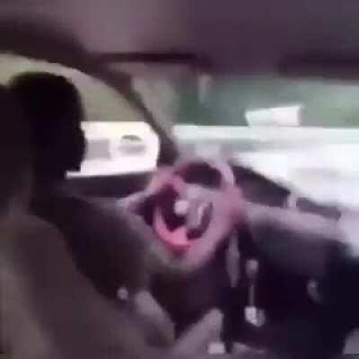 The firt ride with satsuma be like