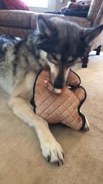 Merry Christmas! (Part 2)