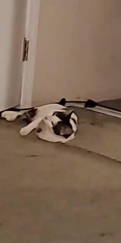 I just wanted her to look at the camera