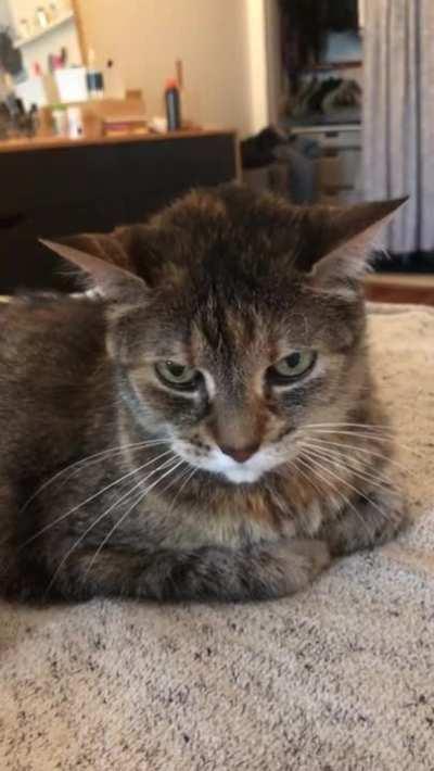 17 years have passed...