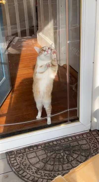 Hired this this guy to pawlish my windows, and he&rsquo;s doing my glass door free of charge. Outstanding work, highly recommend his work.