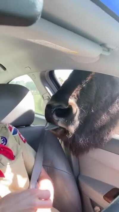 “What about me?!”