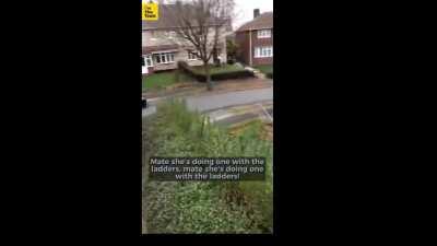 Oblivion NPCs in a nutshell