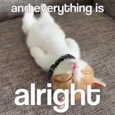 Goodnight yall, hopefully tomorrow is like this.