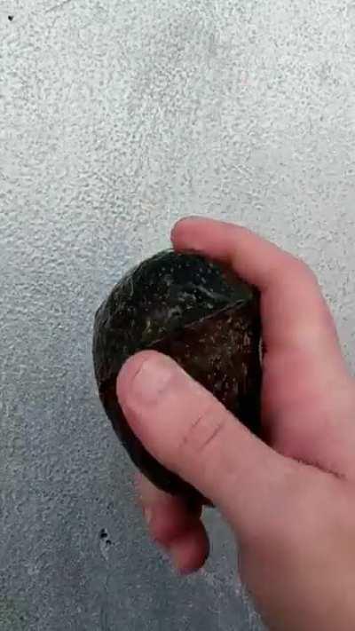 When your produce company sends you 