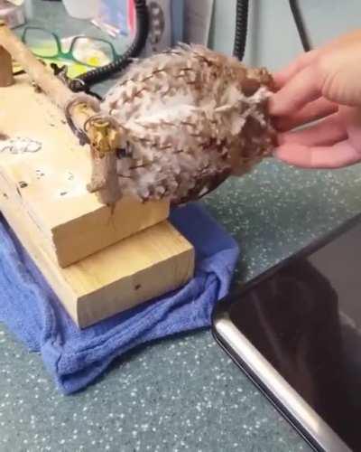 Yesssss, That’s the Spot.