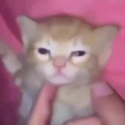 orslokx - Video #2154