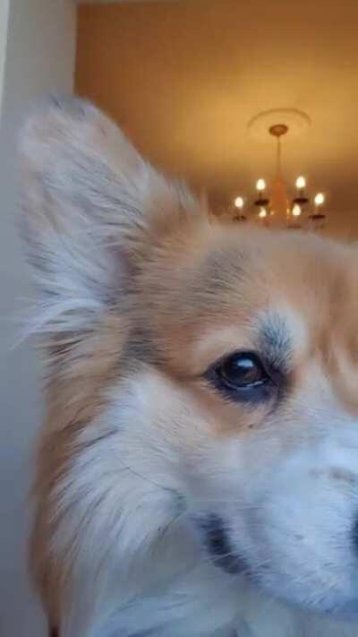 My on/off magic is a bit wonky today. Please 