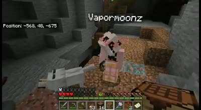 Cachorro Felipe Neto