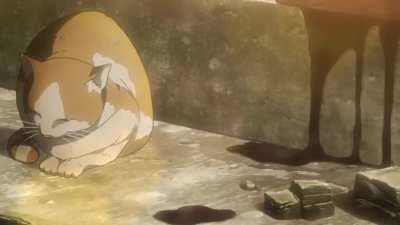 Onyankopon calm down