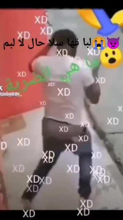 Halal funny تي ان. هنا فهححح تربطبغت💀💀💀😱😱😱😨😨😨😨😂😂😂PUNJABI