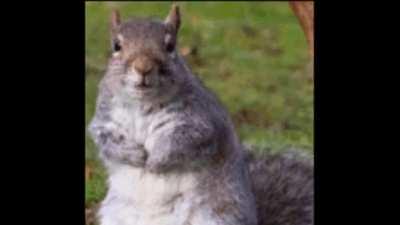 Did anybody else absolutely LOVE this scene?!