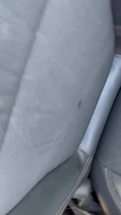 Can’t take me anywhere 🤭