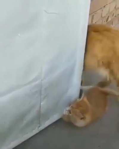 1st experience as a Mom