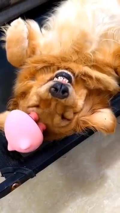 [💲7.34] 💆 Electric Massager 