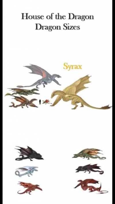 Balerion was so large that his shadow could engulf entire towns when he passed overhead.