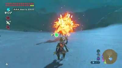 A couple clips from my double Gold Lynel Fight!