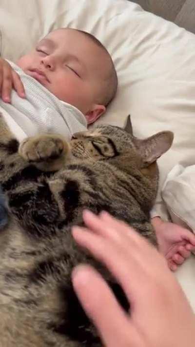 Oh lawd, they napping