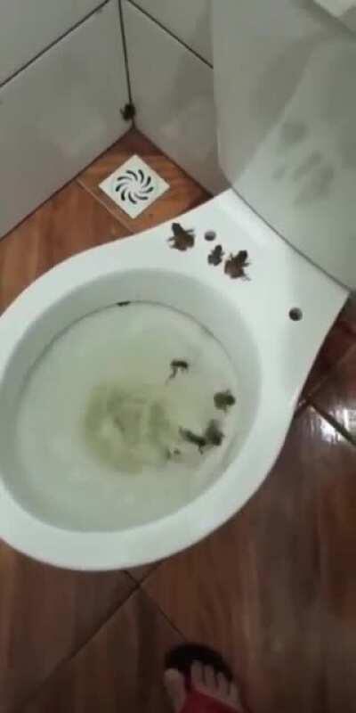 I won't piss without fear anytime soon.