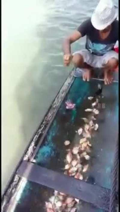 Least dangerous job in Brazil