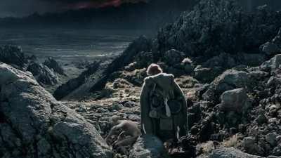 They entered the wrong swamp