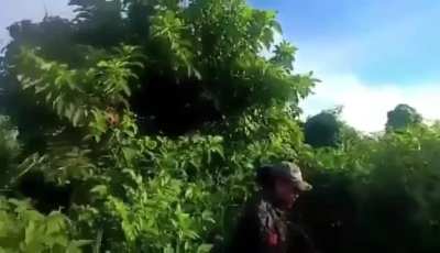 Anti-Junta Forces attacked a Myanmar Army position near the town of Myo Hla, Kachin State.