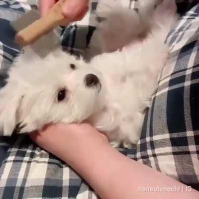Brushy brushy makes me sleepy