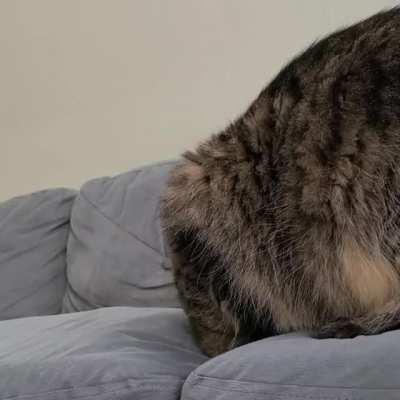 I am both confused and awed