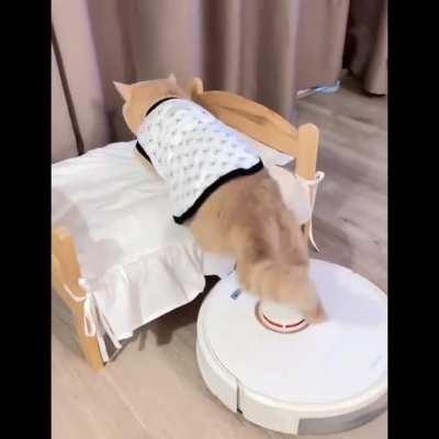 Using New state-of-the-art technology in full force