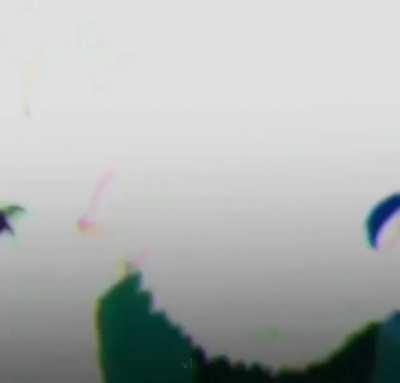 slip D. stairs traumatized our marimo