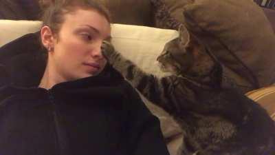 My sisters cat blessing me with a boop.