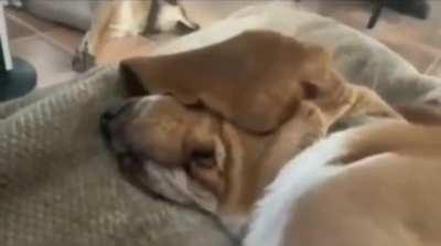 I wish there was a word that made me get out of bed in the morning like this.