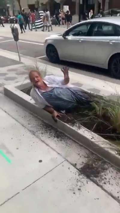 Just a beautiful vegetable. Keep scrolling.