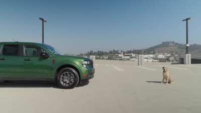 Car review channel demonstrates (lack) of forward visibility between Ford Maverick, Ranger, F-150, F-250.