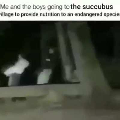 We are doing a charitable service!