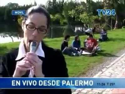 Publicidad Tulipan - Miriam desde los lagos de palermo.