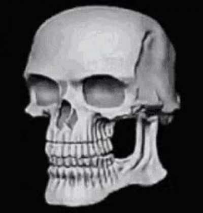 Mandem Gif mais bizarros na sua galeria 