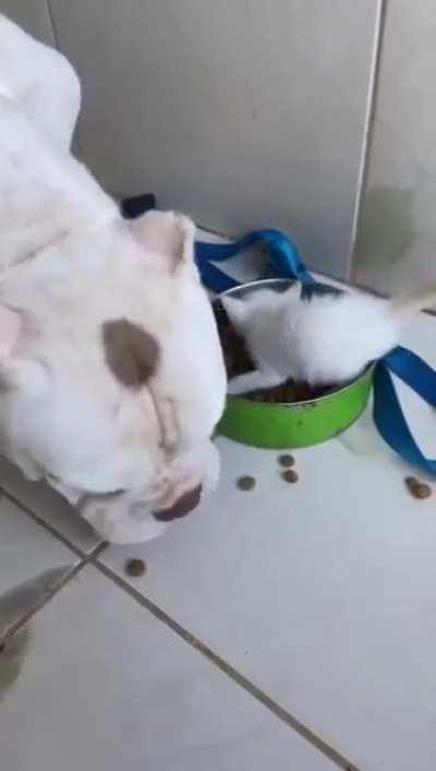 Who's being the jerk here?