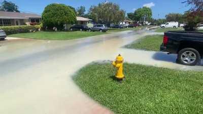 Neighbor’s pipe burst a couple hours ago and it’s still flowing. Curious to see what the water bill will look like.