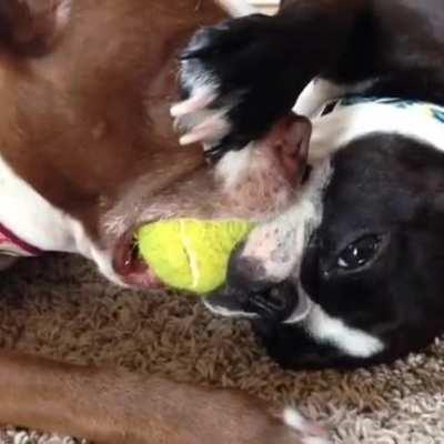 Someone’s got to give.