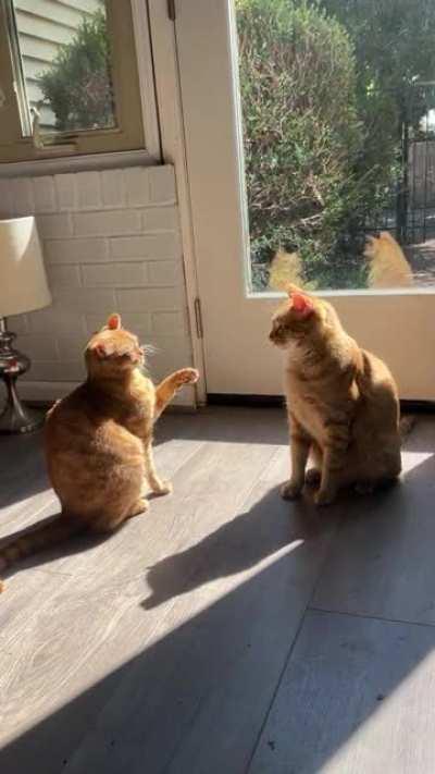 I don’t understand them