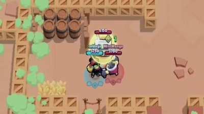 The life of RTs legs