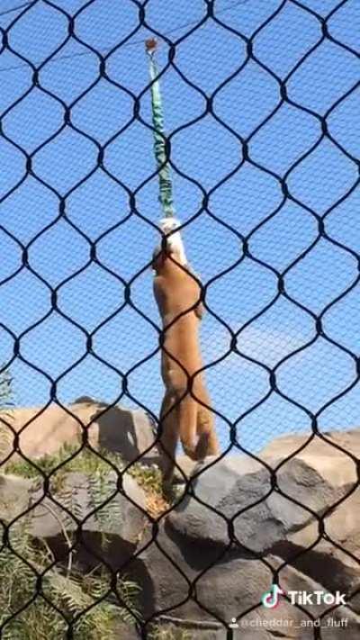 I guess Easter is cancelled this year :/