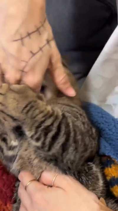 I donât need your help!